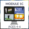 Atelier - Module 1C (Ages 4-6)